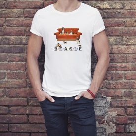 Beagle friends - férfi